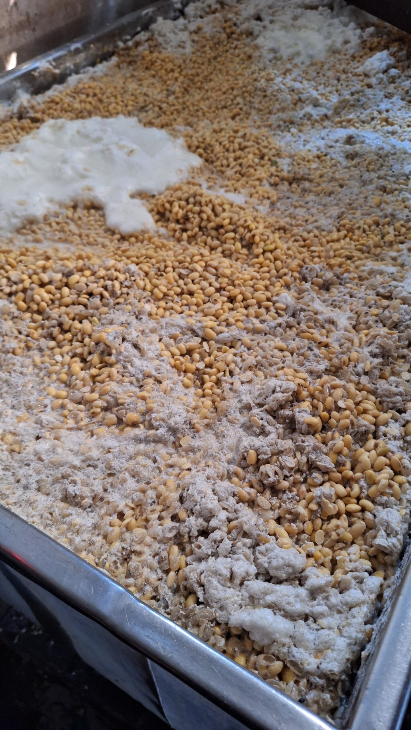 Distribusi Tempe Mas Didik ke mitra di Semarang